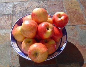 apples_in_a_bowl